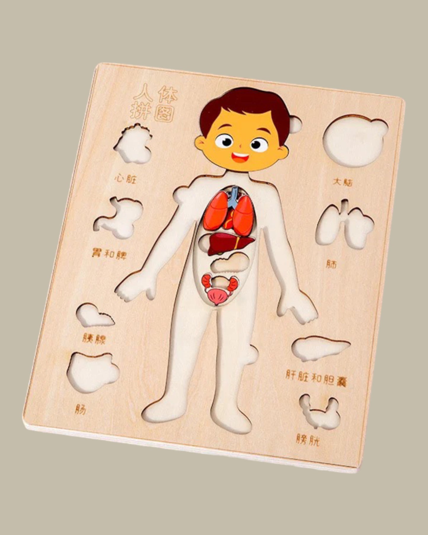 Little Doctor Puzzle Game